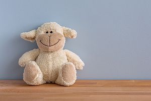 Abbdildung: Ein Knuddelteddy - der Begleiter in den frühen Jahren